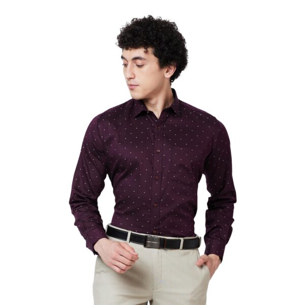 Park Avenue Men's Structure Regular Fit Shirt (PISK00481-M9_Fancy Maroon